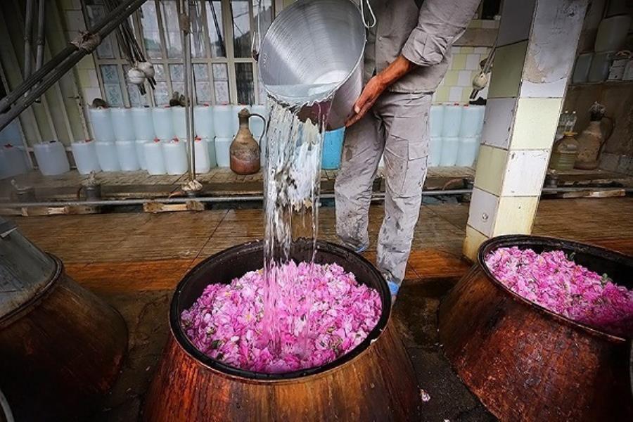 چهارمین جشنواره گردشگری گلاب‌گیری در روستای نهور زابل